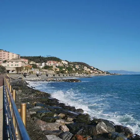 Aguglia *